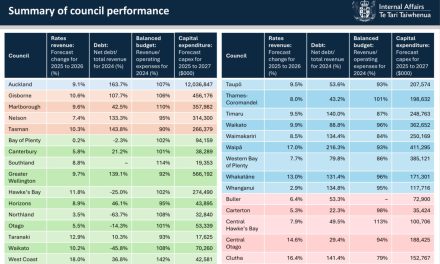 Council Performance Information Released by Internal Affairs